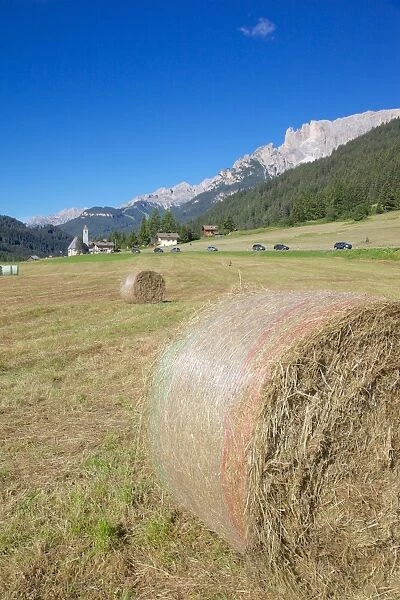 Hay field near Canazei, Canazei, Trentino-Alto Adige, Italy, Europe