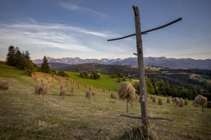 Framed Print : Hay stooks in foothills of Carpathian Mountains on outskirts of Bukowina Tatrzanska village Framed Print : Hay stooks in foothills of Carpathian Mountains on outskirts of Bukowina Tatrzanska village