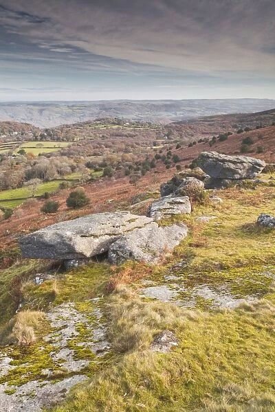 Hayne Down in Dartmoor National Park, Devon, England, United Kingdom, Europe
