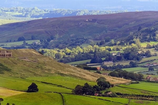 Heathland in bloom, and rolling hills, Yorkshire Moors National Park, Yorkshire, England