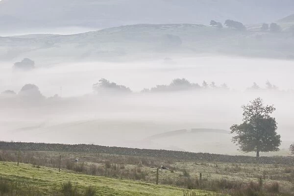 A heavy mist in the valley below High Rigg in the Lake District National Park, Cumbria, England, United Kingdom, Europe