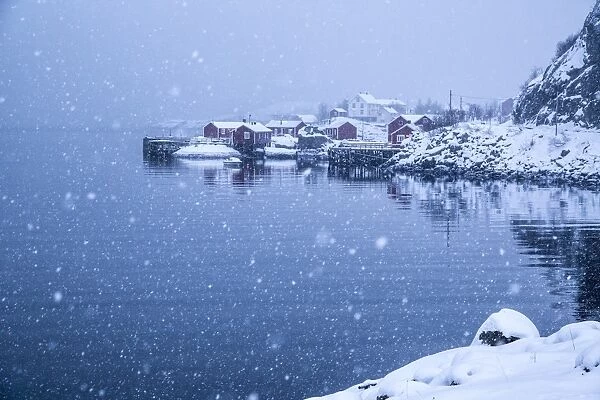 Heavy snowfall on the fishing village and the icy sea, Nusfjord, Lofoten Islands