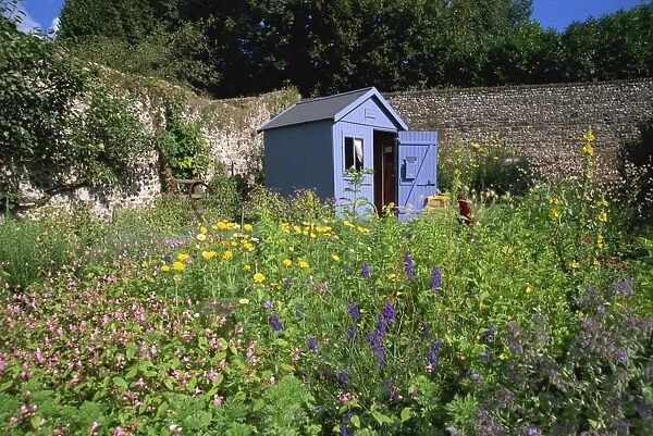 Herb garden, St. Valery sur Somme, Picardie, France, Europe