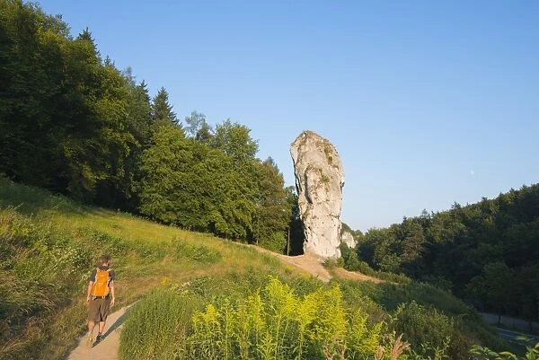 Hercules Club (Maczuga Herkulesa), a limestone pillar, Ojcow National Park, Malopolska, Poland, Europe