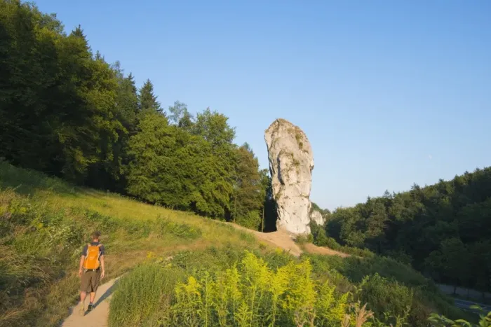 Framed Print : Hercules Club (Maczuga Herkulesa), a limestone pillar, Ojcow National Park, Malopolska, Poland, Europe Framed Print : Hercules Club (Maczuga Herkulesa), a limestone pillar, Ojcow National Park, Malopolska, Poland, Europe