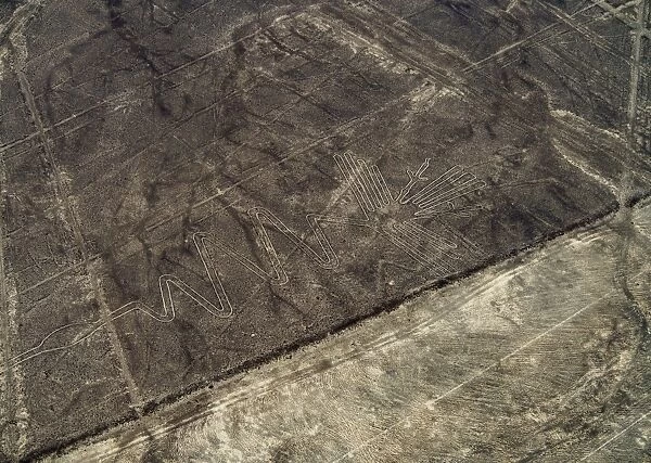 The Heron Geoglyph, aerial view, Nazca, UNESCO World Heritage Site, Ica Region, Peru