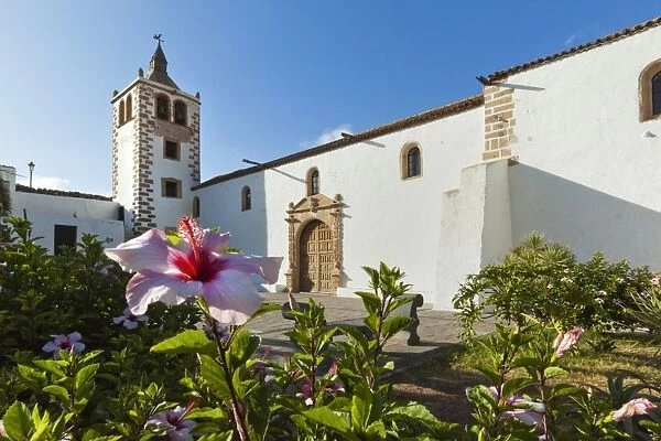 Hibiscus flowers and the 17th century Santa Maria Cathedral in this historic former capital, Betancuria, Fuerteventura, Canary Islands, Spain, Europe