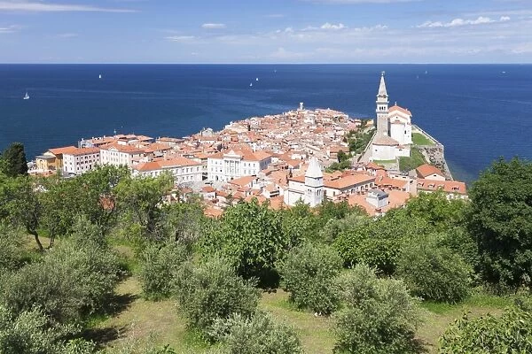 High angle view of the old town with Tartini Square, townhall and the cathedral of St. George, Piran, Istria, Slovenia, Europe