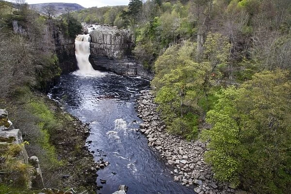 High Force in Upper Teesdale, County Durham, England, United Kingdom, Europe