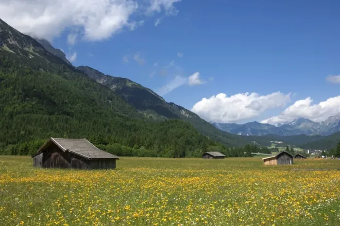 Framed Print : High summer pasture, Sonnenterrase area, Austria, Europe Framed Print : High summer pasture, Sonnenterrase area, Austria, Europe