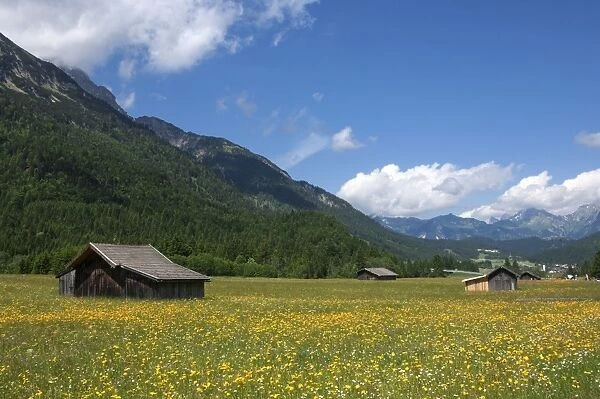 High summer pasture, Sonnenterrase area, Austria, Europe