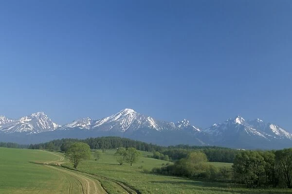 High Tatra Mountains from near Poprad
