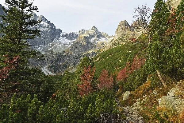 High Tatras (Vysoke Tatry), Slovakia, Europe