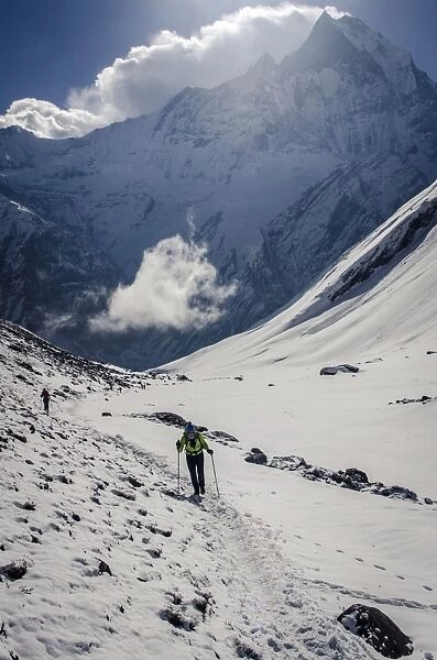 A hiker ascends the Modi Khola Valley to reach Annapurna Base Camp, 4130m, with Machhapuchhare, 6993m, in the background, Annapurna Conservation Area, Nepal, Himalayas, Asia