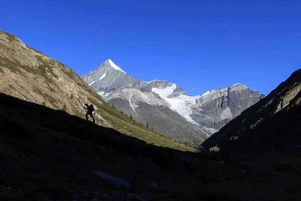Hiker climbs the ridge and in the background the Weisshorn, Tasch Valley, Zermatt