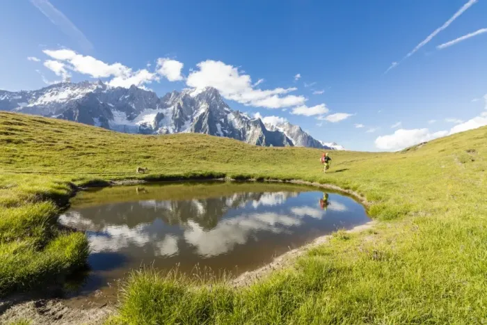Framed Print : Hiker with dog admires the peaks of Mont De La Saxe reflected in water, Courmayeur Framed Print : Hiker with dog admires the peaks of Mont De La Saxe reflected in water, Courmayeur