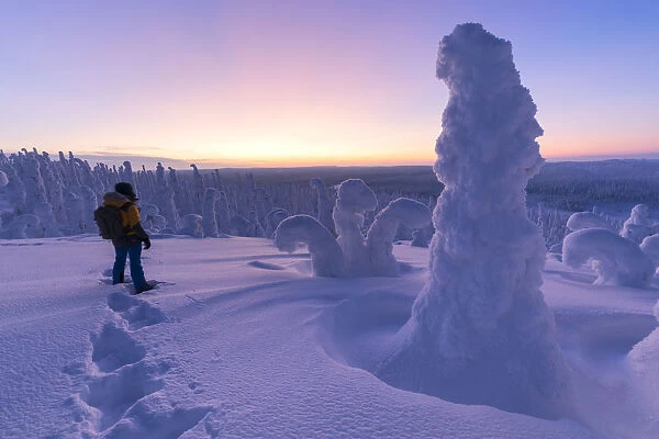 Hiker in the frozen forest, Riisitunturi National Park, Posio, Lapland, Finland, Europe
