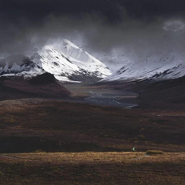 Hiker illuminated by a beam of sunlight after snowfall in the Denali National Park