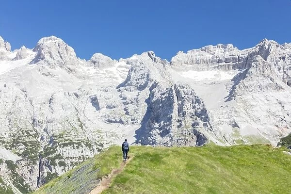Hiker proceeds on the path to the rocky peaks, Doss Del Sabion, Pinzolo, Brenta Dolomites