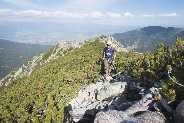 Hiker on trail, Pirin National Park, UNESCO World Heritage Site, near Bansko, Bulgaria, Europe