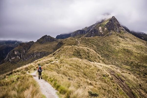 Hiker trekking Rucu Pichincha Volcano, Quito, Pichincha Province, Ecuador, South America