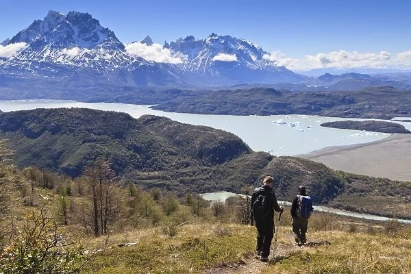 Hikers descend a grassy slope with lake, mountain and iceberg view; near Ferrier Vista Point, Torres del Paine, Patagonia, Chile, South America