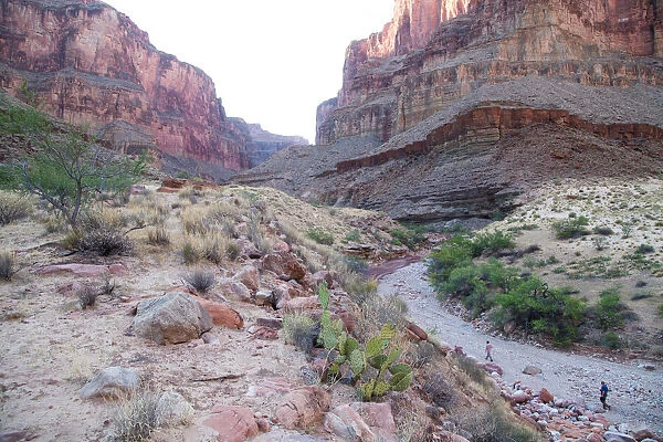 Hikers head up a dry gulch in a side canyon off the Grand Canyon, Arizona