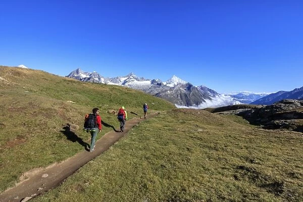 Hikers on a mountain path proceed towards the high peaks in a clear summer day, Gornergrat