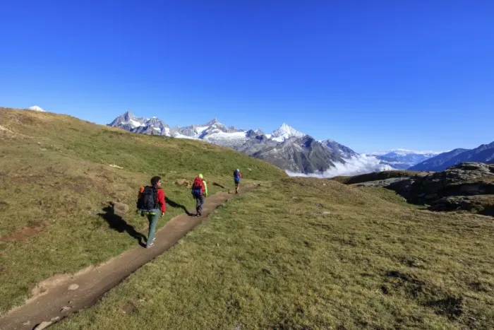 Framed Print : Hikers on a mountain path proceed towards the high peaks in a clear summer day, Gornergrat Framed Print : Hikers on a mountain path proceed towards the high peaks in a clear summer day, Gornergrat
