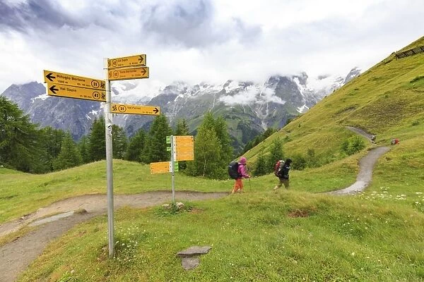 Hikers along the panoramic trail of Ferret Valley, Bertone Hut, Ferret Valley, Courmayeur