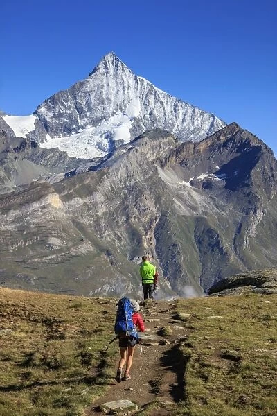 Hikers proceed towards the high peak of Dent Herens in a clear summer day, Gornergrat