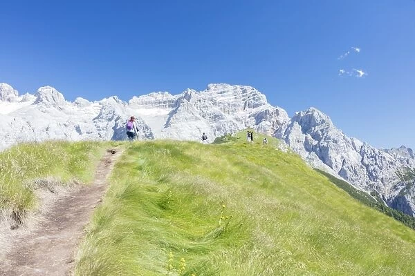 Hikers proceed on the path to the rocky peaks, Doss Del Sabion, Pinzolo, Brenta Dolomites