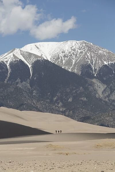 Hikers on the sand dunes, Great Sand Dunes National Park and Preserve, with Sangre Cristo Mountains in the background, Colorado, United States of America, North America