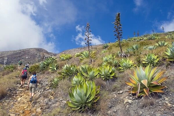 Hikers walking through cactus trail, Volcan Santa Ana, 2365m, Parque Nacional Los Volcanoes