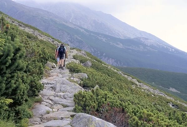 Hikers walking along Tatranska magistrala trail in