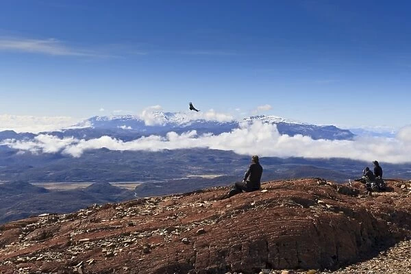 Hikers watch a condor (Vultur gryphus), Ferrier Vista Point, eastern flank of Pingo Valley, Torres del Paine National Park, Patagonia, Chile, South America