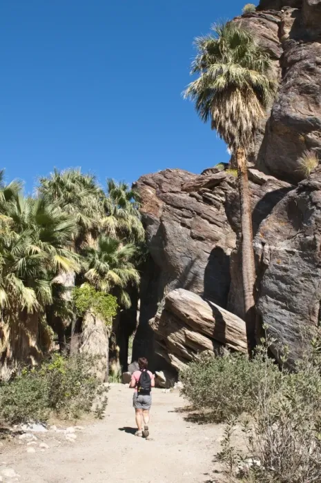 Framed Print : Hiking in Andreas Canyon, Indian Canyons, Palm Springs, California, United States of America Framed Print : Hiking in Andreas Canyon, Indian Canyons, Palm Springs, California, United States of America