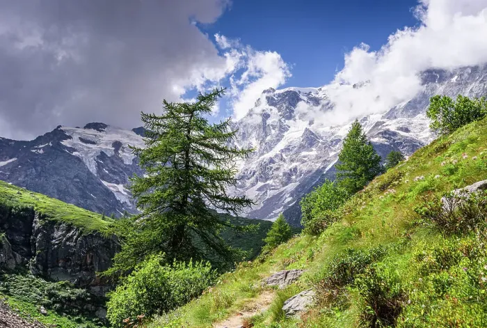 Framed Print : Hiking trail in alpine landscape facing Monte Rosa with lush forest and meadows in moraine landscape, Italian Alps, Italy, Europe Framed Print : Hiking trail in alpine landscape facing Monte Rosa with lush forest and meadows in moraine landscape, Italian Alps, Italy, Europe