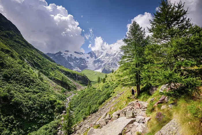 Framed Print : Hiking trail in alpine landscape facing Monte Rosa with lush forest and meadows in moraine landscape, Italian Alps, Italy, Europe Framed Print : Hiking trail in alpine landscape facing Monte Rosa with lush forest and meadows in moraine landscape, Italian Alps, Italy, Europe
