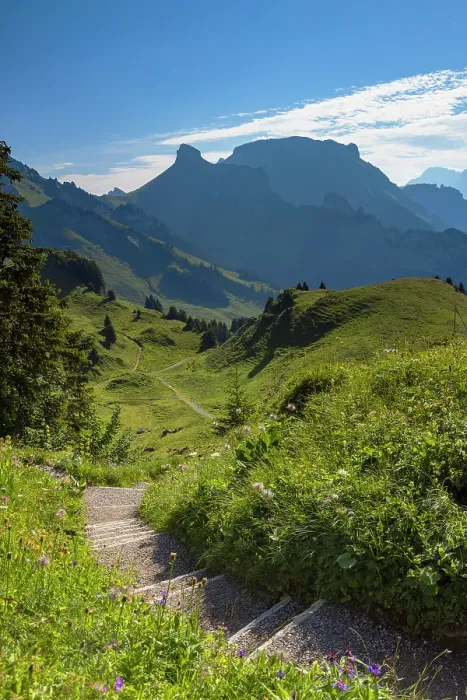 Framed Print : Hiking trail at Schynige Platte, Jungfrau Region, Bernese Oberland, Switzerland Framed Print : Hiking trail at Schynige Platte, Jungfrau Region, Bernese Oberland, Switzerland
