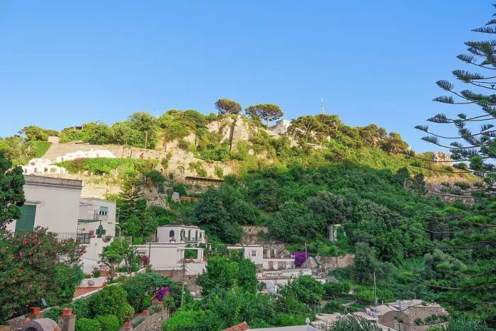 Framed Print : Hill houses surrounded by greenery above Marina Picola on Capri Island, Bay of Naples, Campania, Italy, Europe Framed Print : Hill houses surrounded by greenery above Marina Picola on Capri Island, Bay of Naples, Campania, Italy, Europe