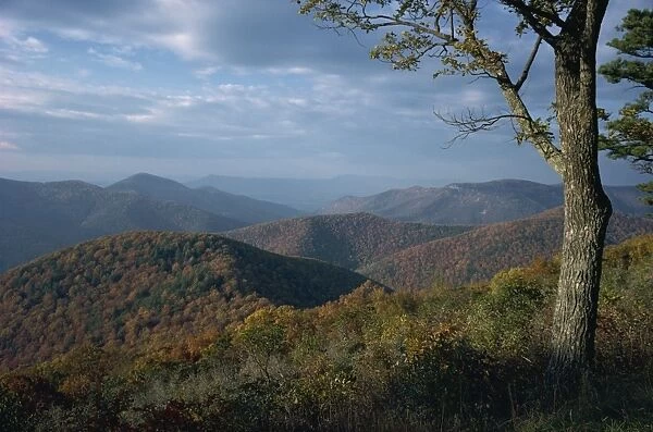 Hills near Loft Mountain in autumn in the Shenandoah National Park