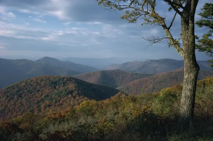 Framed Print : Hills near Loft Mountain in autumn in the Shenandoah National Park