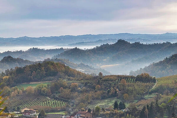 Hills and vineyards of the Langhe, UNESCO World Heritage Site, on an autumn day, Alba, Langhe, Cuneo district, Piedmont, Italy, Europe