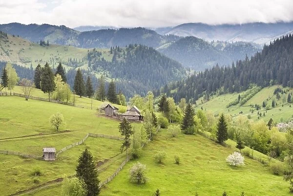 Hilly rural landscape of the Bukovina Region at Sadova, Romania, Europe