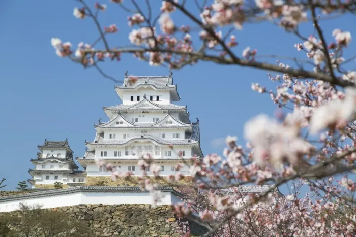 Framed Print : Himeji Castle, UNESCO World Heritage Site, Himeji, Kansai, Honshu, Japan, Asia Framed Print : Himeji Castle, UNESCO World Heritage Site, Himeji, Kansai, Honshu, Japan, Asia