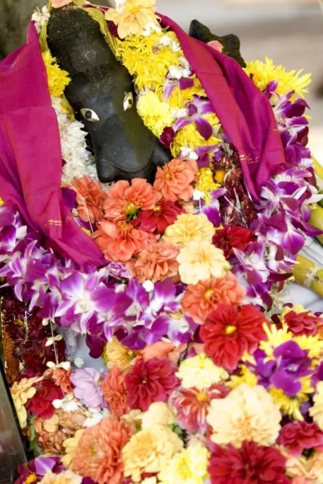 Framed Print : Hindu offering, flower garlands, Georgetown, Penang, Malaysia, Southeast Asia, Asia Framed Print : Hindu offering, flower garlands, Georgetown, Penang, Malaysia, Southeast Asia, Asia