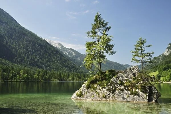 Hintersee, Berchtesgadener Land, Bavaria, Germany, Europe