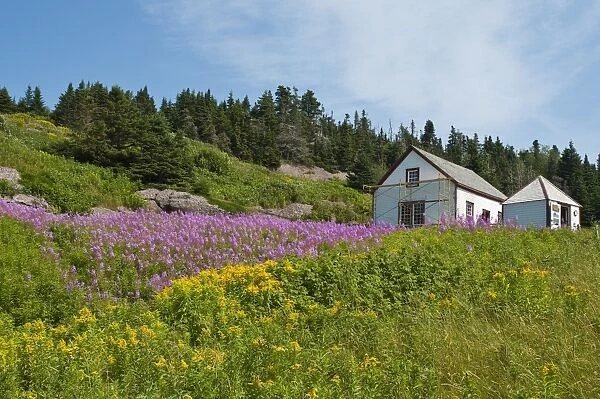 Historic settlement on Ile Bonaventure offshore of Perce, Quebec, Canada, North America