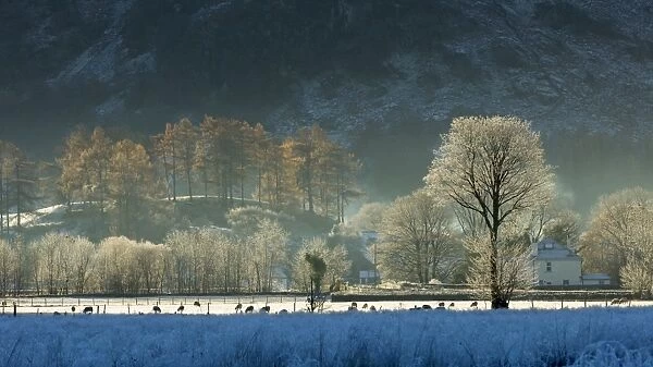 Hoar frost over Stonethwaite village in Borrowdale, Lake District National Park, Cumbria